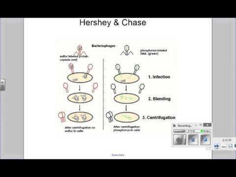 2016 02 22 Bio30 E Lesson 1 Chapter 18 DNA RNA