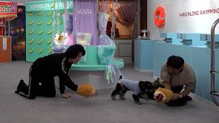 友達に犬を盗まれる粗品【ちた】