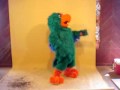 2354 Male Parrot