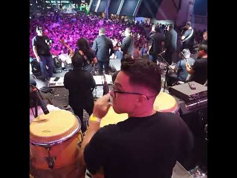 Gaiteros del Pozón con Neguito Borjas - Amanecer Gaitero Bella Vista 2023 (En vivo)