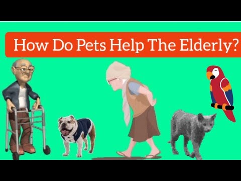 How Do Pets Help the Elderly