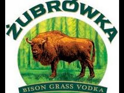 trolíme Róču poprvé [CZ]