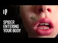 What If a Spider Crawled Into Your Body While You‘re Sleeping?