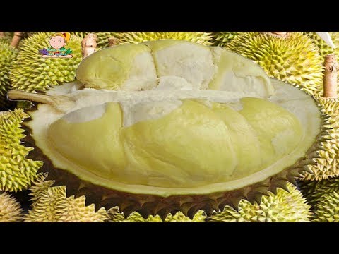 ความแรงตามธรรมชาติ สัญญาณหญิงตื่นเต้น
