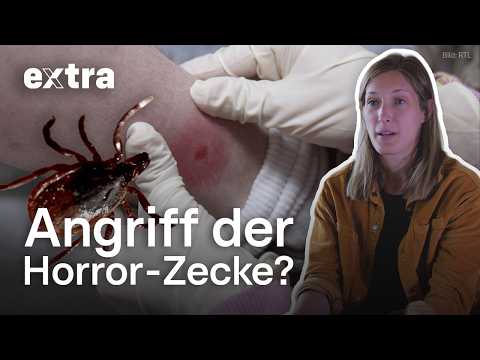 Der große Zecken-Report | EXTRA - Das Magazin