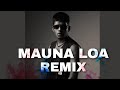 Mauna Loa Vedan DJ REMIX Song Mix DjkidDjkid