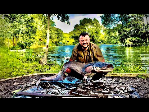My Best Catfish Fishing Baits And Additives
