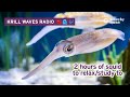 2 Hours Of Squid To Relax/Study/Work To | Lofi Hip Hop | Monterey Bay Aquarium Krill Waves Radio