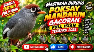 Download lagu MASTERAN POKSAY MANDARIN GACOR FULL ISIAN TERBARU 2026 | SUARA JERNIH & KERAS | DURASI 1 JAM mp3