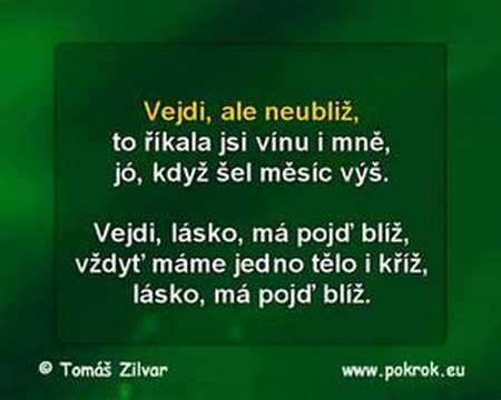 Vejdi - Dalibor Janda (www.pokrok.eu)