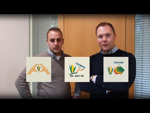 KWS Mais-Blog 2019 - Teil 15 (Mais-Extras)