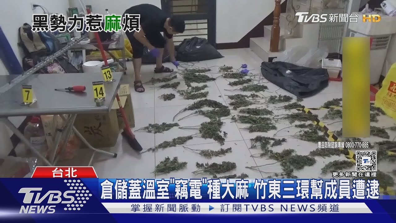 倉儲蓋溫室、民宅烘大麻！竹東三環幫遭逮　怕耗電被發現...反害房東挨罰千萬