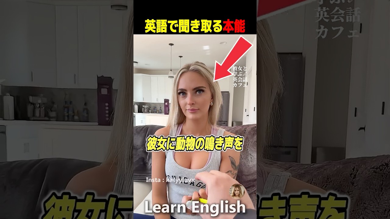 動物の鳴き声を英語ではどのように表現するか学びます#shorts #はんネキ #英語学習 #英会話