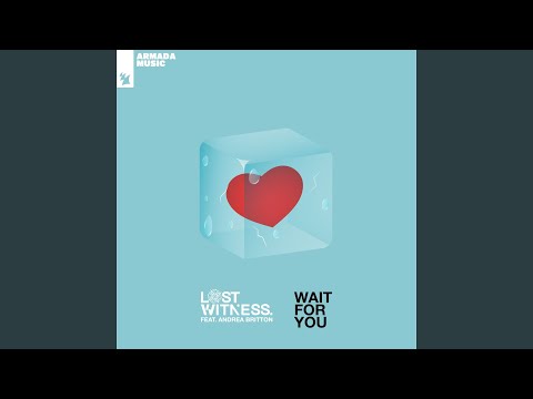 Wait For You (Extended Mix)