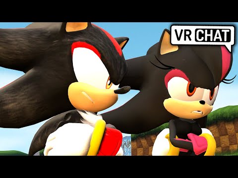Shadow Meets Shadina The Hedgehog! (VR Chat)