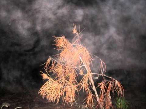 sinister visions   fusio power