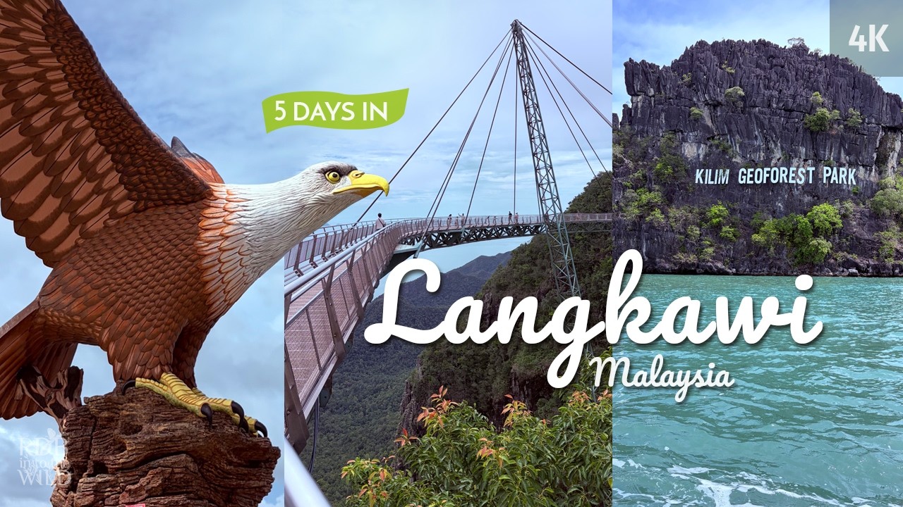 Langkawi Travel Vlog 2026 | SkyCab, Eagle Watching, Island Hopping, Waterfalls & Fire Show