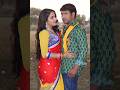 Nirahua Hindustani Amrapali Dubey Hot Youtubeshorts Viral
