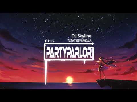 TUZYAT JEEV RANGALA _ Title Track _ DJ Skyline