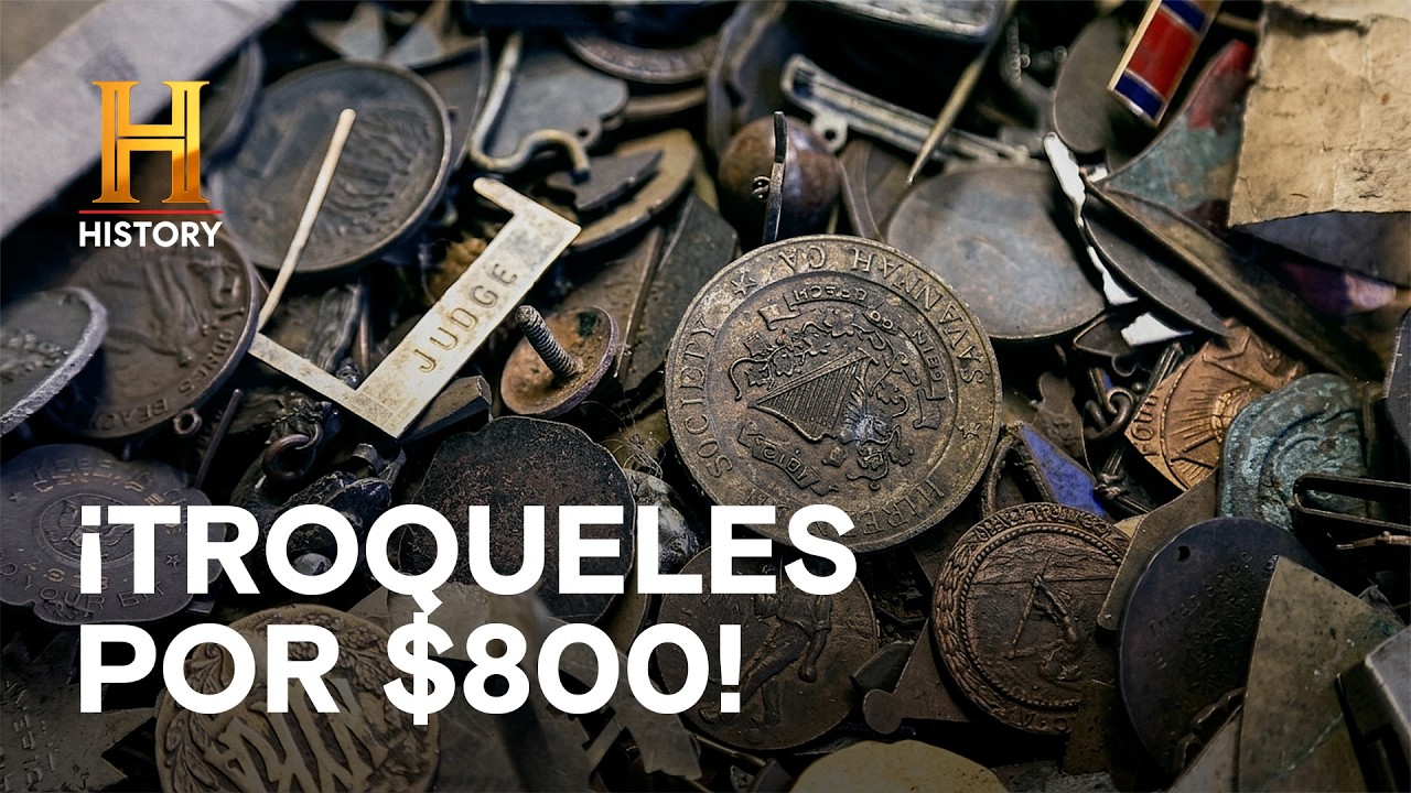 ¡Compran un contenedor entero de troqueles por $800! 📦💵 - CAZADORES DE TESOROS