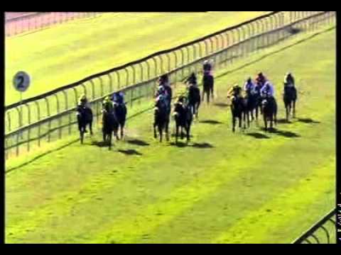 Real Princess (Trippi) - Race 1 at Scottsville - 25/06/14