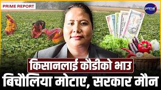 बर्खासँगै आकासियो तरकारीको भाउः भान्सामा महँगीको मार, अधिकांश तरकारी प्रतिकिलो सय रुपैयाँभन्दा धेरै