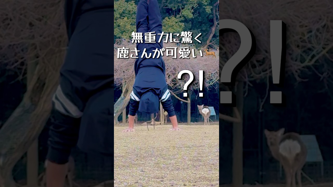 無重力に驚く鹿さんが可愛すぎる