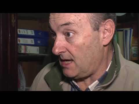 Jauría ataca a ovinos en cerros de vera - Daniel Constantín