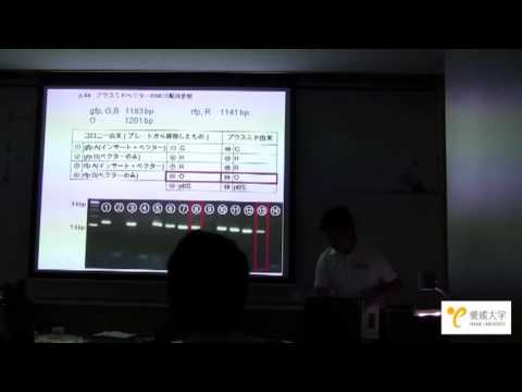 愛媛大学平成24年度サイエンス・リーダーズ・キャンプ（3班発表）