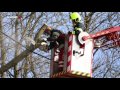 Stürmisches Föhnwetter Baum Stürzte In Oftering Auf Eine Stromleitung