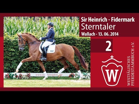 02 Sterntaler Wallach v. Sir Heinrich -  Fidermark