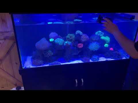 How to raise salt level