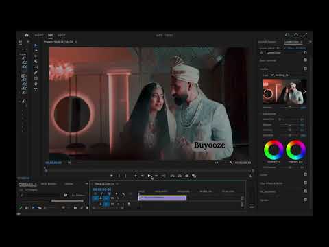 66 Wedding LUTs: Transform Your Wedding Videos with a Wide Variety of Looks