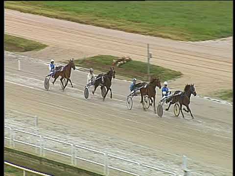 Trotto 14/06/2018 - 1ª prova di qualifica