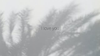 nina nesbitt - things i say when you sleep (lyrics)