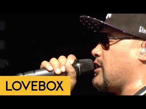 Shapeshifter - Gravity | Live from Lovebox 2014 | FestivoTV