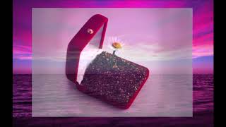 Cat Power ✮  Dreams