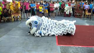 Download lagu 新加坡騰陽龍獅體育會 Teng Yang Lion Dance Cai Qing Performance at Shui Lian Gong 26 Sep 2018 mp3 Download lagu 新加坡騰陽龍獅體育會 Teng Yang Lion Dance Cai Qing Performance at Shui Lian Gong 26 Sep 2018 mp3