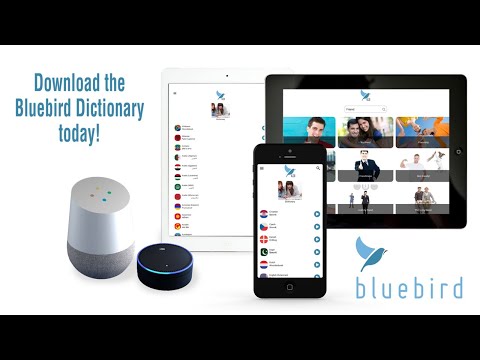 Free 163 Language Dictionary w Video