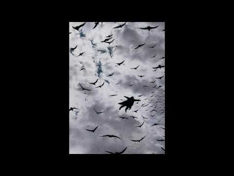 FRVRFRIDAY x ELI SOSTRE SAD TYPE BEAT