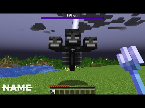I Killed The Wither With Lightning In Minecraft (#9)