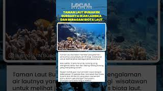 Keindahan Taman Laut Bunaken dengan Terumbu Karang dan Ragam Spesies Ikan di Kedalaman Samudra