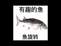 spinning chinese fish