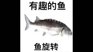 Cover art for chinese spinning fish