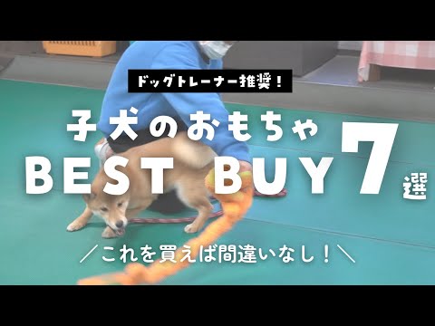 犬に勧められないおもちゃ