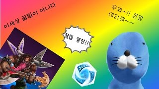 알아도되고 몰라도되는 개꿀팁 3가지