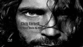 Chris Cornell - You Never Knew My Mind