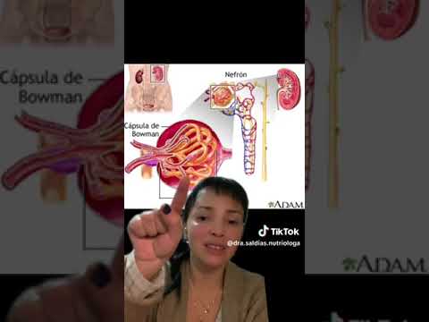 Cristina Saldias Porras-29