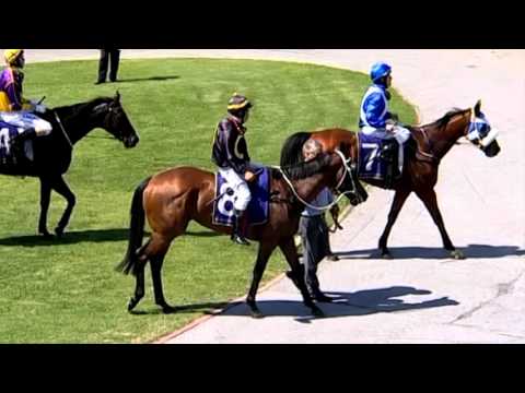 Race 2 - 10th October 2015 - Belmont Park - Who's To Blame - Vaughn Sigley