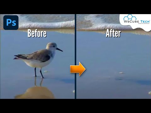 How to Quickly Remove ANYTHING from a Photo in Photoshop Adobe Photoshop Tutorial